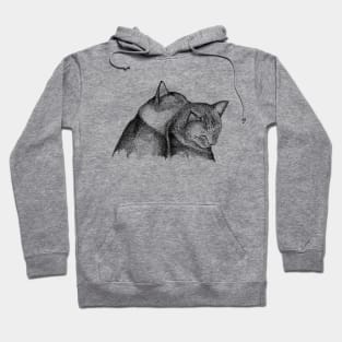 Cuddling Kitties Hoodie